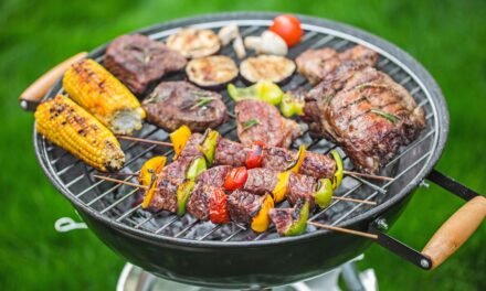 Grill Like a Pro: The 10 Best Charcoal Grills of 2024